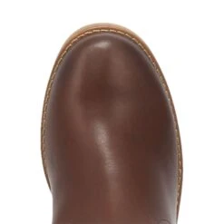 Dingo Brown Homestead Fashion Women Round Toe Boot -Western Cowboy Clothing 01 DI254 BN big 05f87b1c ba66 4e46 bc11 f85a31482825