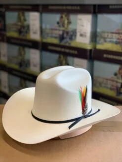 Tombstone 1000x Johnson Con Liston Negro (Copa Chica) -Western Cowboy Clothing IMG 0193 412877fe 635d 4537 8a08 31b63832df5e