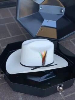 Tombstone 1000x Johnson Con Liston Negro (Copa Chica) -Western Cowboy Clothing IMG 0214 3bbbdfb4 12ab 4b6b 8e0d fe2875e211fc