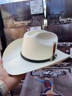 10,000x Falda/brim 3.5" Avestruz Negro Sinaloa Style Hat (Exclusive) -Western Cowboy Clothing IMG 0640