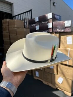 10,000x Falda/brim 3.5" Avestruz Negro Sinaloa Style Hat (Exclusive) -Western Cowboy Clothing IMG 06502