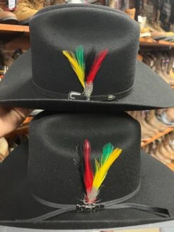 Cuernos Chuecos 6x Johnson Black (Copa Alta Falda 3.5) -Western Cowboy Clothing IMG 1063