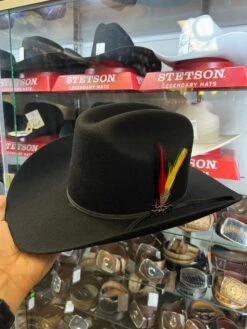 Cuernos Chuecos 6x Johnson Black (Copa Alta Falda 3.5) -Western Cowboy Clothing IMG 1066