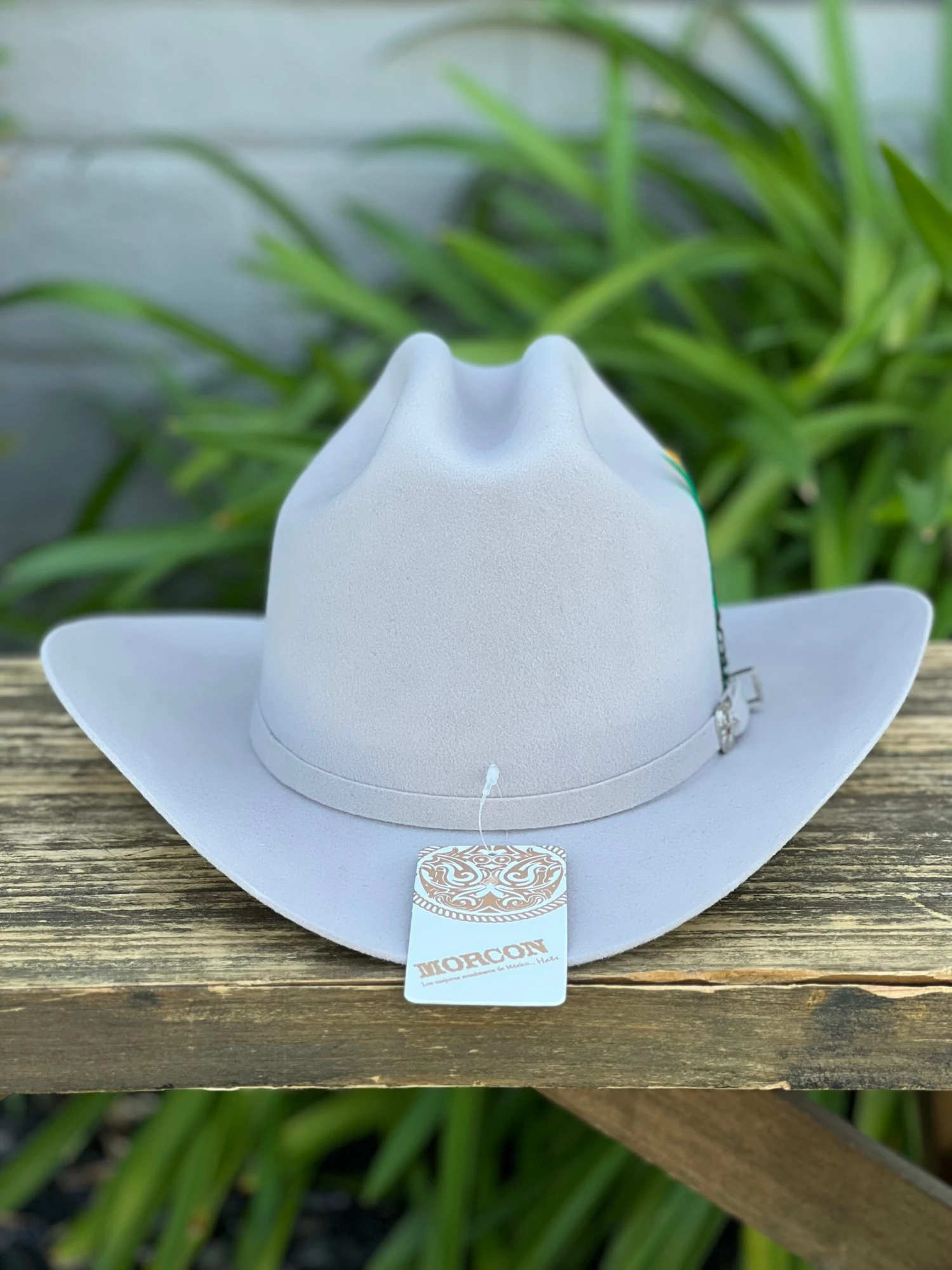 Tejana (Lana Fina) 20x Copa Alta Falda 3.5" Marca Morcon (Silverbelly/Beige) 2 Tejana (Lana Fina) 20x Copa Alta Falda 3.5" Marca Morcon (Silverbelly/Beige) - Image 2