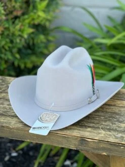Tejana (Lana Fina) 20x Copa Alta Falda 3.5" Marca Morcon (Silverbelly/Beige) 8 Tejana (Lana Fina) 20x Copa Alta Falda 3.5" Marca Morcon (Silverbelly/Beige) -Western Cowboy Clothing IMG 1151 c202127e e4e0 4ae3 8c5f b9ec80f4b88a