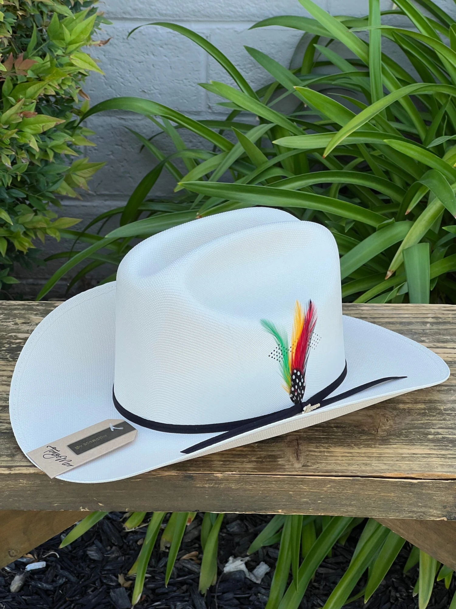 Sombrero 1,000x Copa Alta Falda 3.5" Marca Morcon (Clasica/Classic) 1 Sombrero 1,000x Copa Alta Falda 3.5" Marca Morcon (Clasica/Classic)