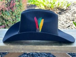 Valentin 4x Color Negro (Copa Mediana Falda 4") -Western Cowboy Clothing IMG 13292