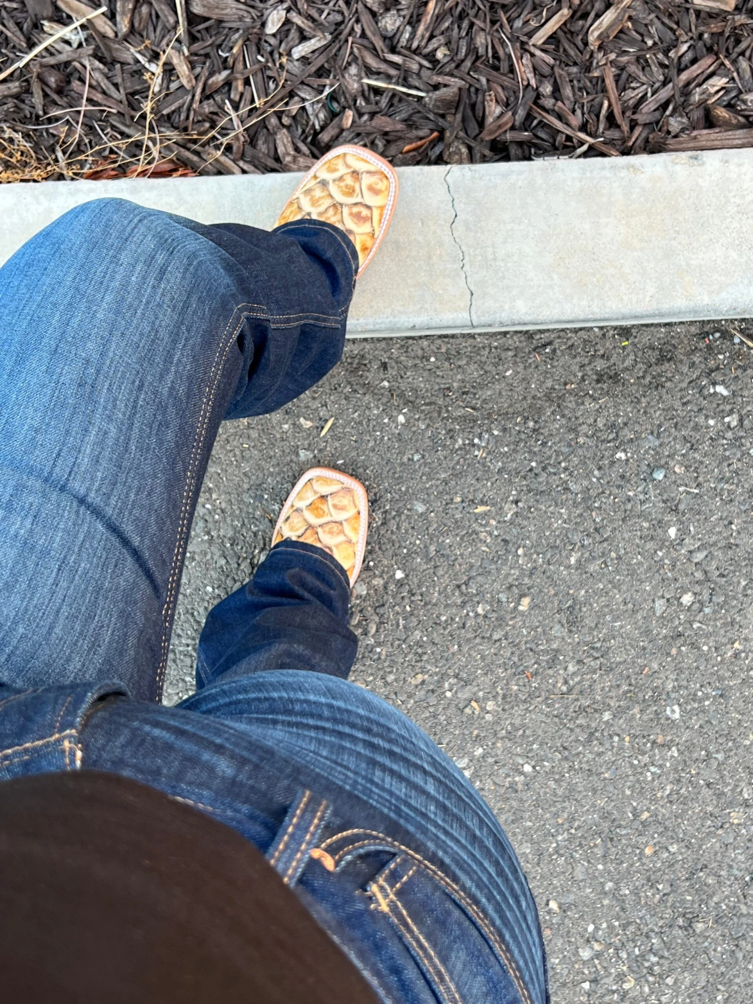 Women Pirarrucu Print Orix Wide Square Toe Cowgirl Boots 2 Women Pirarrucu Print Orix Wide Square Toe Cowgirl Boots - Image 2