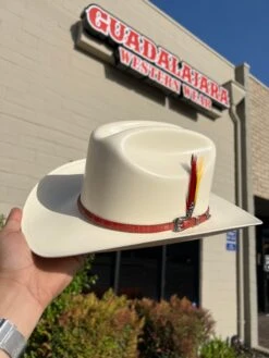 Cuernos Chuecos 150x Chaparral (Copa Chica Falda Chica 3") Toquilla Cognac -Western Cowboy Clothing IMG 1735