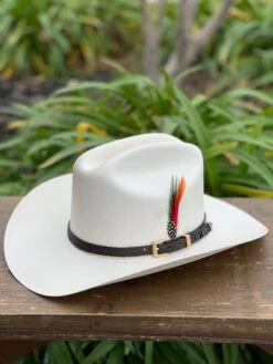 Tombstone 1000x Johnson (Copa Chica) Toquilla Caiman Cafe Obscuro -Western Cowboy Clothing IMG 2248