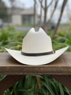 Tombstone 1000x Johnson (Copa Chica) Toquilla Caiman Cafe Obscuro -Western Cowboy Clothing IMG 2249