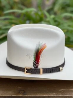 Tombstone 1000x Johnson (Copa Chica) Toquilla Caiman Cafe Obscuro -Western Cowboy Clothing IMG 2251