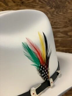 Original Stetson Feather (Pack Of 2)