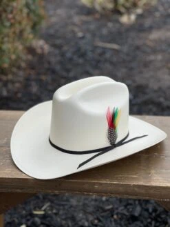 Cuernos Chuecos 100x Johnson (Sinaloa Style) -Western Cowboy Clothing IMG 2816