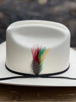 Cuernos Chuecos 100x Johnson (Sinaloa Style) -Western Cowboy Clothing IMG 2819