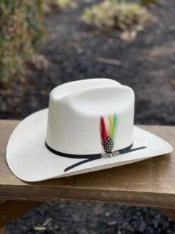 Cuernos Chuecos 100x Durango (Copa Alta) -Western Cowboy Clothing IMG 2820