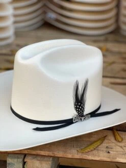 Cuernos Chuecos 100x Johnson Diamante Negro (Copa Alta Falda 3.5")(Sinaloa Style) -Western Cowboy Clothing IMG 3683 e18db36c 7a03 4948 b802 fe71b6707bda