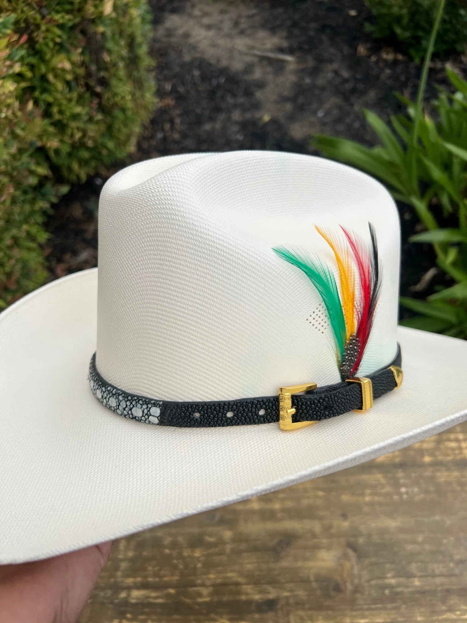 Tombstone 1000x Johnson (Copa Chica) Toquilla Mantarraya Negro 2 Tombstone 1000x Johnson (Copa Chica) Toquilla Mantarraya Negro - Image 2