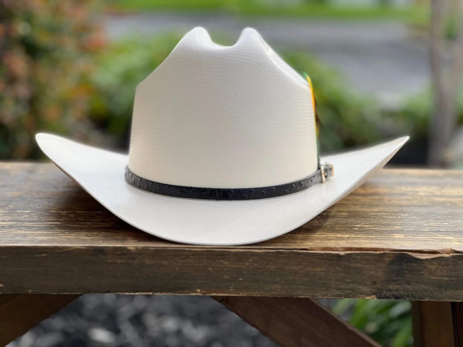 5000X Alegres Del Barranco Copa Chica 4.5" Falda 3.5" Horma Sinaloa (Toquilla Avestruz Negra) 2 5000X Alegres Del Barranco Copa Chica 4.5" Falda 3.5" Horma Sinaloa (Toquilla Avestruz Negra) - Image 2