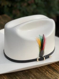 5000X Alegres Del Barranco Copa Chica 4.5" Falda 3.5" Horma Sinaloa (Toquilla Avestruz Negra) 8 5000X Alegres Del Barranco Copa Chica 4.5" Falda 3.5" Horma Sinaloa (Toquilla Avestruz Negra) -Western Cowboy Clothing IMG 5150