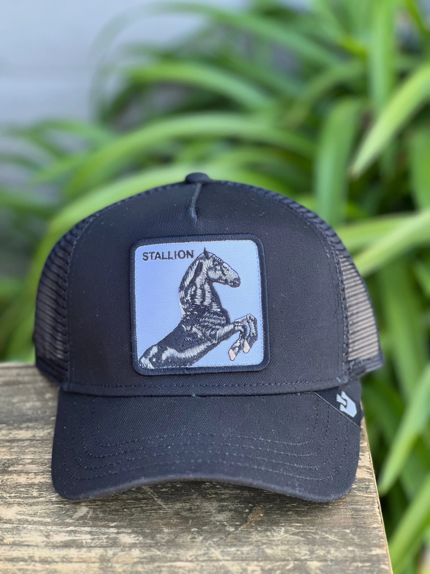 The Stallion - BLK 1 The Stallion - BLK