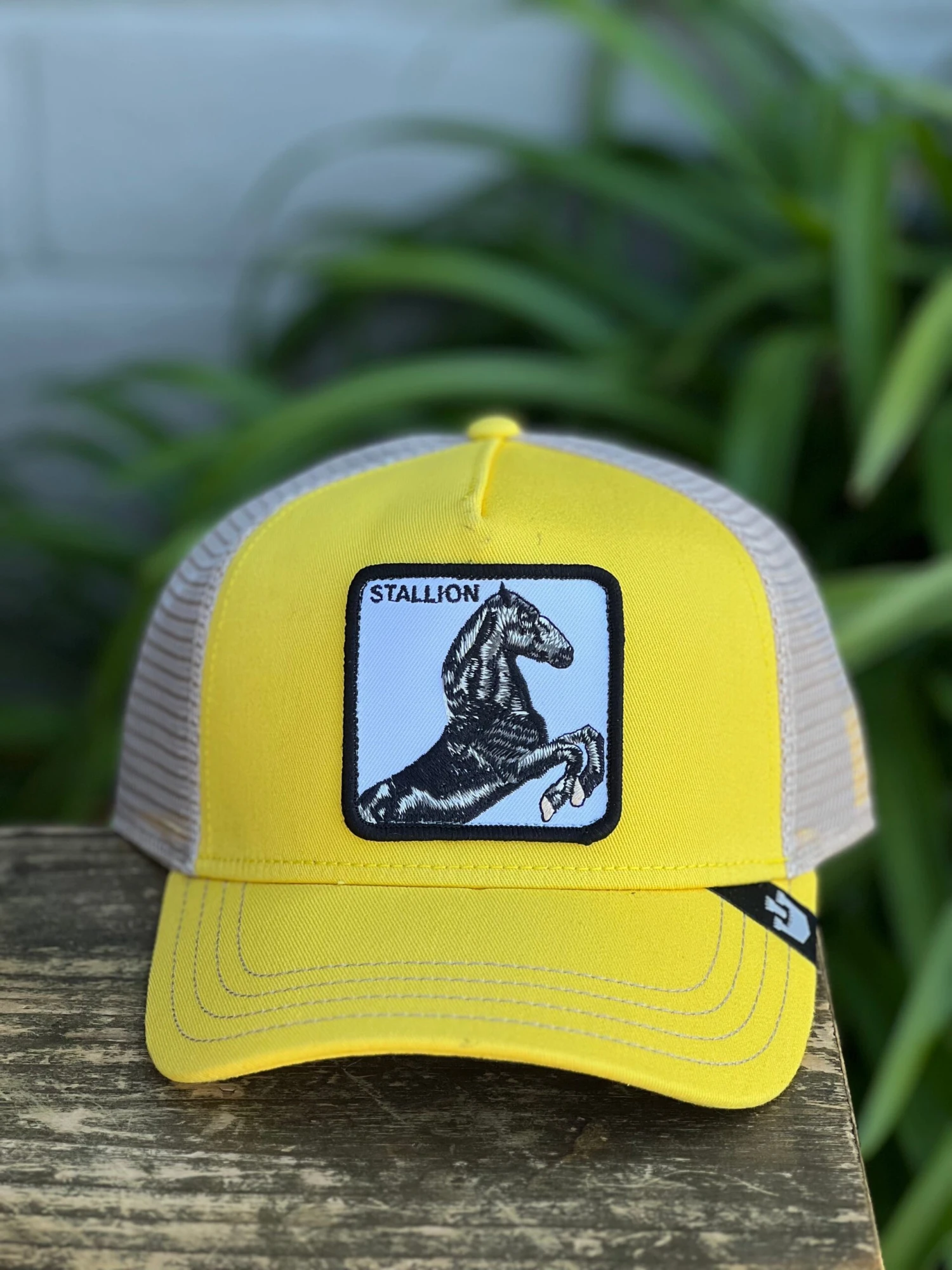 The Stallion - Yellow 1 The Stallion - Yellow