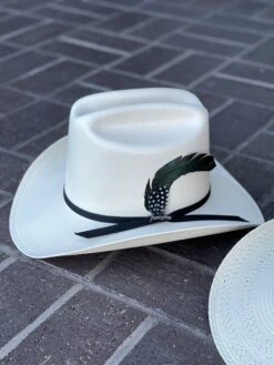 Tombstone 30x El Viejon (Copa Alta) Cowboy Hat -Western Cowboy Clothing IMG 6599