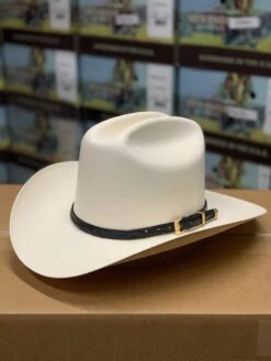 Tombstone 1000x Johnson (Copa Chica) Toquilla Avestruz Negro 9 Tombstone 1000x Johnson (Copa Chica) Toquilla Avestruz Negro -Western Cowboy Clothing IMG 71602 9cc96255 59b8 4279 b91c b26d1ce7cbdc