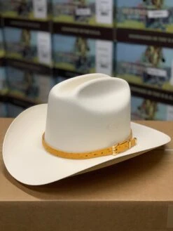 Tombstone 1000x Johnson (Copa Chica) Toquilla Avestruz Mantequilla -Western Cowboy Clothing IMG 7166 6bfab81a 17e3 45c5 b9a4 ad7a685958a1