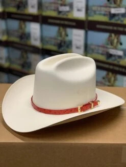 Tombstone 1000x Johnson (Copa Chica) Toquilla Avestruz Rojo 7 Tombstone 1000x Johnson (Copa Chica) Toquilla Avestruz Rojo -Western Cowboy Clothing IMG 7172 d8dbc240 d34f 4051 873f 1b57dd1c2bd5