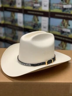 Tombstone 1000x Johnson (Copa Chica) Toquilla Mantarraya Negro 7 Tombstone 1000x Johnson (Copa Chica) Toquilla Mantarraya Negro -Western Cowboy Clothing IMG 7174 d3b7699e 20dd 475e 8ddd b14c83d49ac0