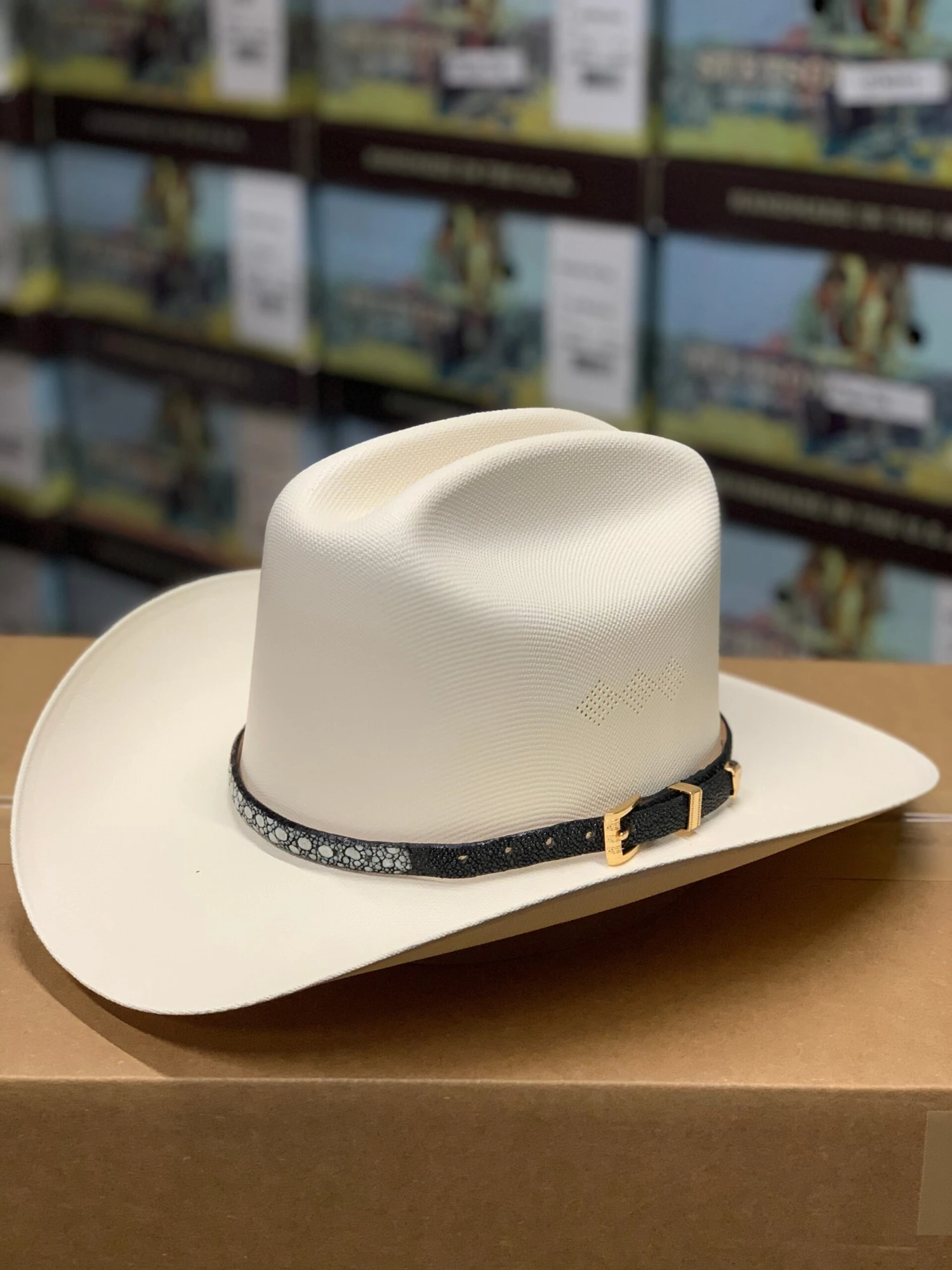 Tombstone 1000x Johnson (Copa Chica) Toquilla Mantarraya Negro 3 Tombstone 1000x Johnson (Copa Chica) Toquilla Mantarraya Negro - Image 3