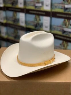 Tombstone 1000x (Copa Chica) Toquilla Caiman Mantequilla -Western Cowboy Clothing IMG 7184 19e36e9a 517b 467c 9b61 b02e41b3af58