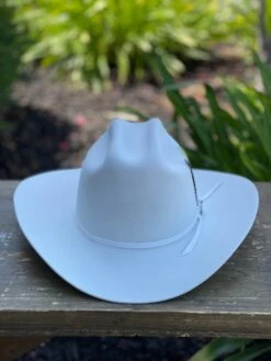 Stetson 6x Spartan Premium White Cowboy Felt Hat Sinaloa (Copa Chica Falda/Brim 3.5") -Western Cowboy Clothing IMG 9553