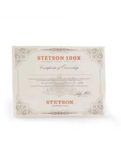 Stetson El Presidente 100X Premier Cowboy Felt Hat -Western Cowboy Clothing SFPRES 4840.07 7 3